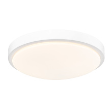 Golden 9128-FM13 WHT-OP - Golden Lighting Gabi Integrated LED 12in Flush Mount in Matte White